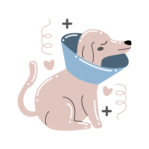 Surgery Icon